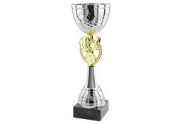Puchar piłkarski PP.021 - Victory Trofea