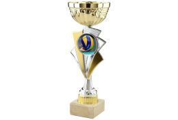 Puchar siatkarski X50/06 - Victory Trofea