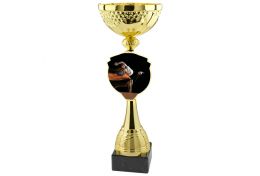 Puchar piłki ręcznej X32/10 - Victory Trofea