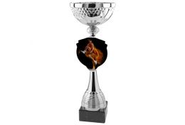 Puchar koszykarski X31/15 - Victory Trofea