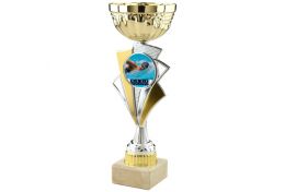 Puchar pływacki X50/23 - Victory Trofea