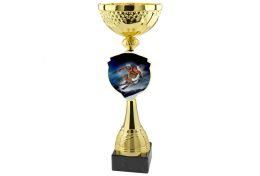 Puchar zimowy X32/110 - Victory Trofea