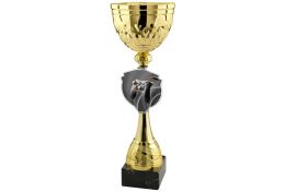 Puchar e-sport X46/106 - Victory Trofea