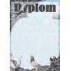 Dyplom papierowy DG04