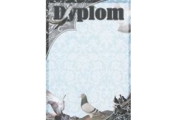 Dyplom papierowy DG04 - Puchary Gołębie