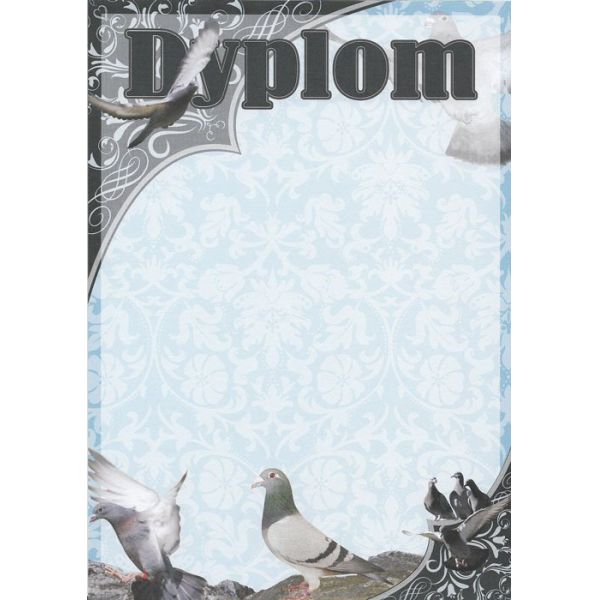 Dyplom papierowy DG04