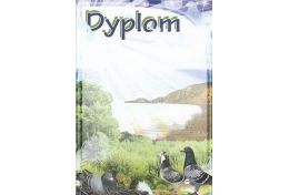 Dyplom papierowy DG07 - Puchary Gołębie