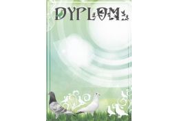 Dyplom papierowy DG10 - Puchary Gołębie