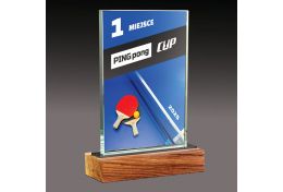 Statuetka szklana tenisa stołowego WG51/19 - Victory Trofea