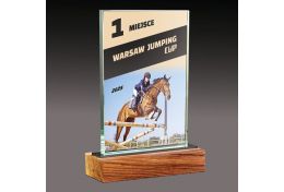 Statuetka szklana jeździectwa WG51/07 - Victory Trofea