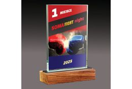 Statuetka szklana bokserska WG51/16 - Victory Trofea