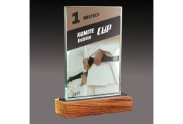 Statuetka szklana karate WG51/09 - Victory Trofea