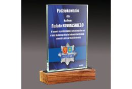 Statuetka szklana policyjna WG51/106 - Victory Trofea