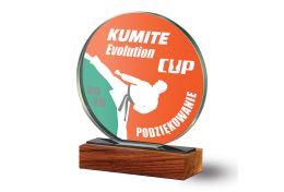 Statuetka szklana karate WG65/09 - Victory Trofea