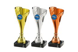 Puchar pływacki X01/23 - Victory Trofea
