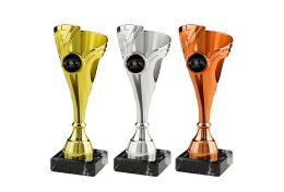 Puchar sportów walki X01/60 - Victory Trofea
