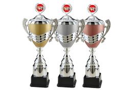 Puchar karciany X13/18 - Victory Trofea