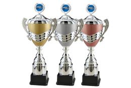 Puchar pływacki X13/23 - Victory Trofea
