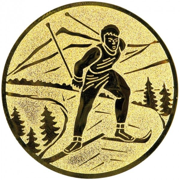 PN.Emblemat narciarstwo biegowe 25/50 mm