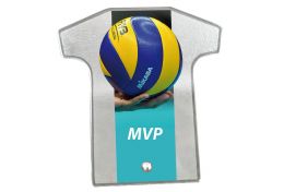 Volleyball statuette W379/06 - Victory Trofea