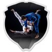 Akryl - judo